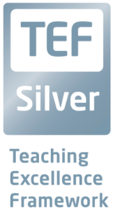 Teaching Excellence Silver Logo