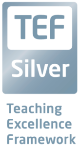 Teaching Excellence Silver Logo